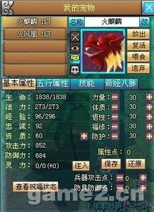 火麒麟爆料网站大全最新,揭秘最新热门网站，一网打尽全网资讯